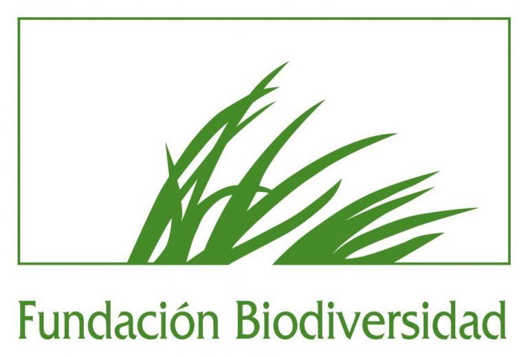 Medio Ambiente impartirá 400 talleres para que las playas estén «limpias» 