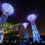 singapore-gardens-by-the-bay-at-night-design-of
