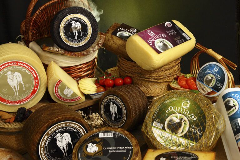 El mejor queso del mundo