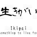 images (7)