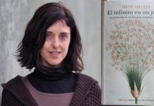 Reseña: “El infinito en un junco” de Irene Vallejo